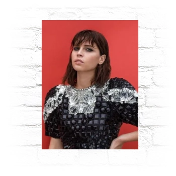 Felicity Jones Metal Wall Art