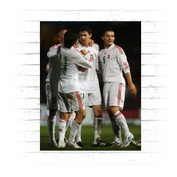 Hungary National football team Poster