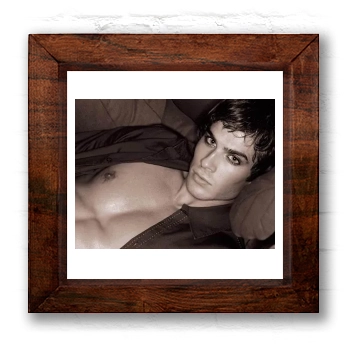 Ian Somerhalder 6x6