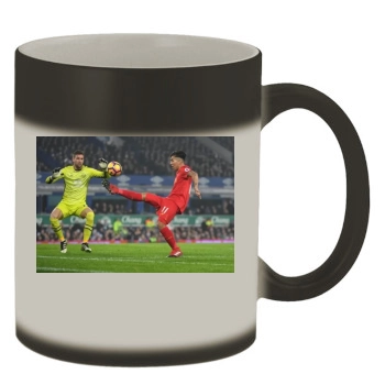 Liverpool Color Changing Mug