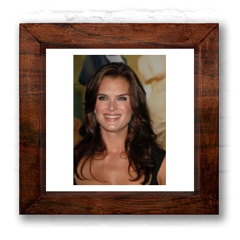 Brooke Shields 6x6