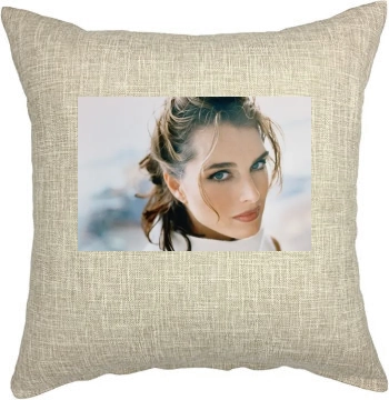 Brooke Shields Pillow