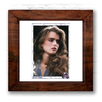 Brooke Shields 6x6