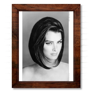 Brooke Shields 14x17