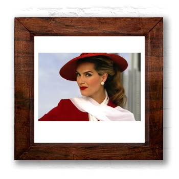 Brooke Shields 6x6