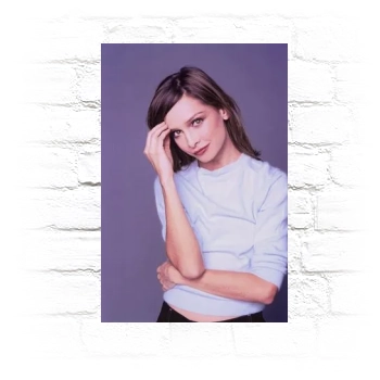 Calista Flockhart Metal Wall Art