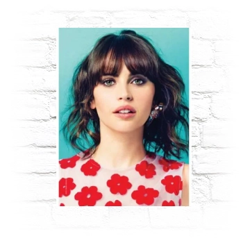 Felicity Jones Metal Wall Art