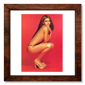 Cerina Vincent 12x12