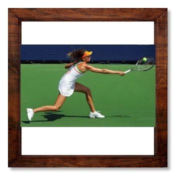 Daniela Hantuchova 12x12