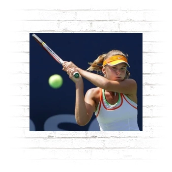 Daniela Hantuchova Poster