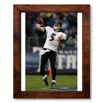 Baltimore Ravens 14x17