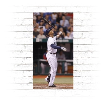 Tampa Bay Rays Poster