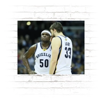 Zach Randolph Poster