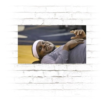 Zach Randolph Poster