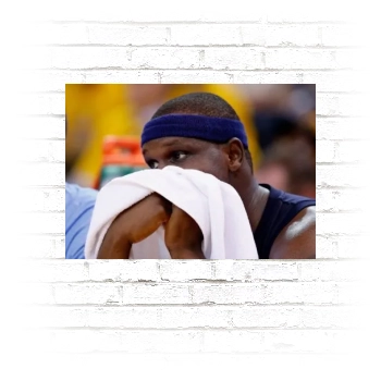 Zach Randolph Poster