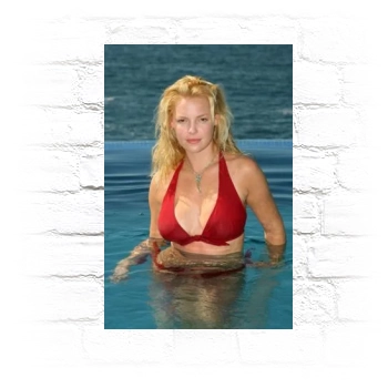 Katherine Heigl Metal Wall Art