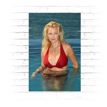 Katherine Heigl Poster