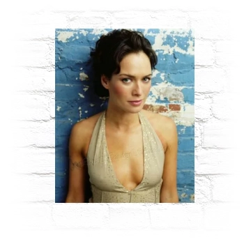 Lena Headey Metal Wall Art