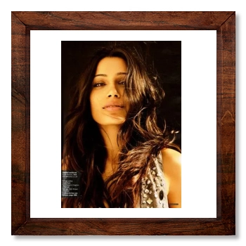 Freida Pinto 12x12