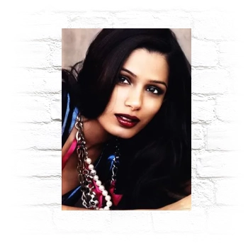 Freida Pinto Metal Wall Art