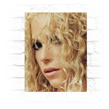 Shakira Metal Wall Art