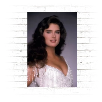 Brooke Shields Poster