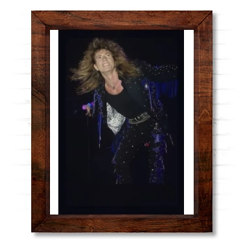 Whitesnake 14x17