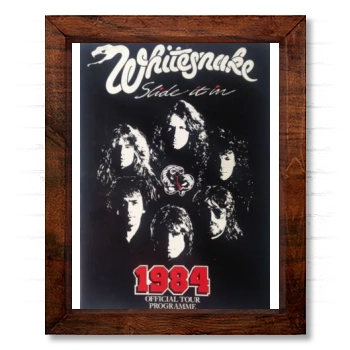 Whitesnake 14x17