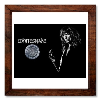 Whitesnake 12x12