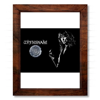 Whitesnake 14x17