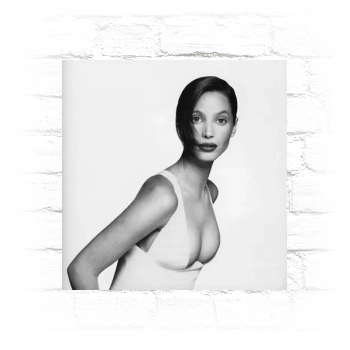 Christy Turlington Metal Wall Art