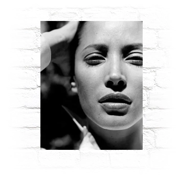 Christy Turlington Metal Wall Art