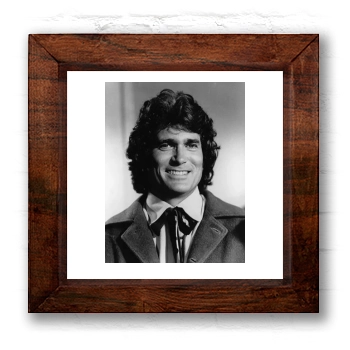 Michael Landon 6x6