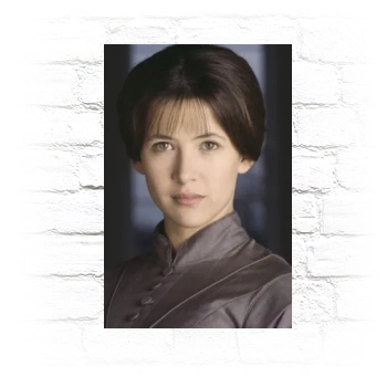 Sophie Marceau Metal Wall Art